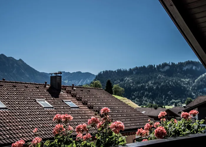 Haus Susanne - Top-ferienwohnungen - Sommer-bergbahn Inklusive * 오베르마이셀스타인